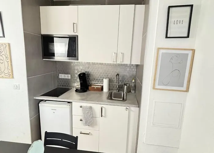 Soh Rent Cozy Wifi Terrasse St Aloise * 斯特拉斯堡
