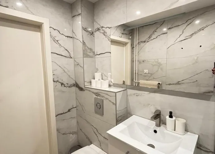 Soh Rent Cozy Wifi Terrasse St Aloise 斯特拉斯堡