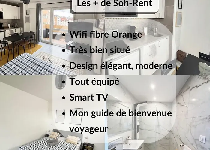公寓 Soh Rent Cozy Wifi Terrasse St Aloise 斯特拉斯堡