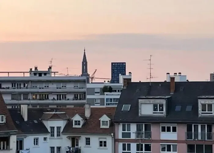 Soh Rent Cozy Wifi Terrasse St Aloise 斯特拉斯堡